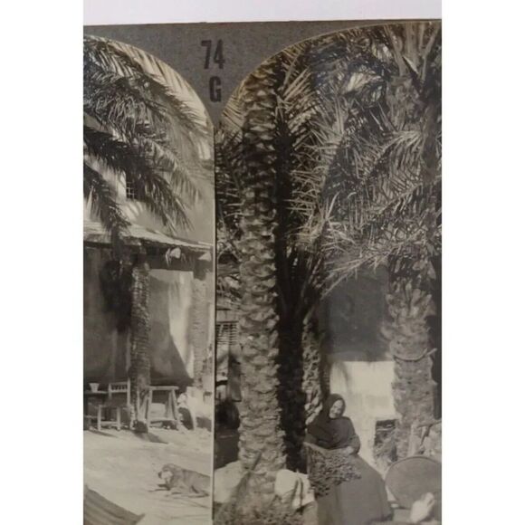 Lady Sorting Dates in Spain Keystone Stereoview - Picture 7 of 8